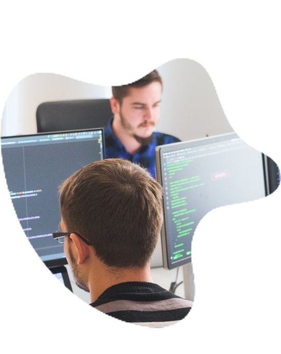 Software Development